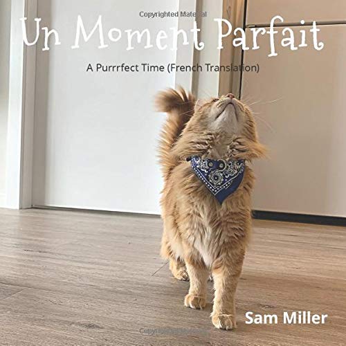 Un Moment Parfait (French Edition)