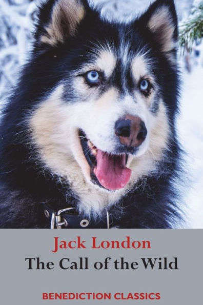 The Call Of The Wild : (Unabridged) - 9781781398425