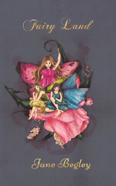 Fairy Land - 9781786129901