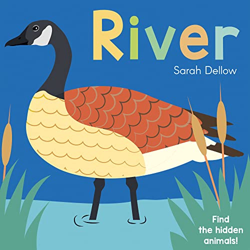 Now You See It! River (Now You See It!, 4)