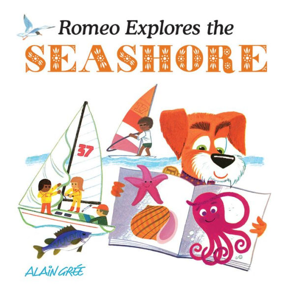 Romeo Explores The Seashore