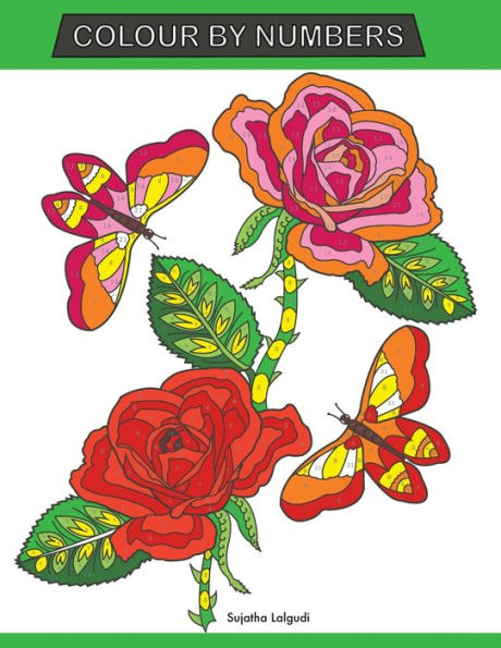 Colour by Numbers: Large Print Colour By Number Butterflies, Birds, and Flowers Adult Colouring Book
