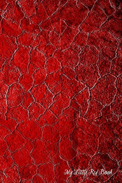 My Little Red Book - 9781790528639