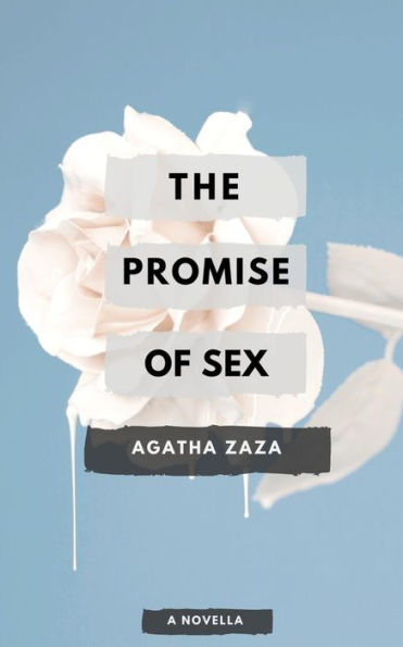 The Promise Of Sex : A Novella Of Singapore