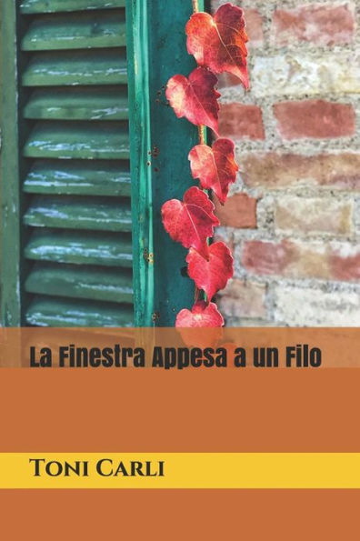 La Finestra Appesa a un Filo (Italian Edition)
