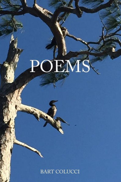 Poems - 9781791544126