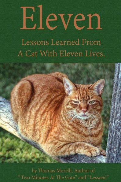 Eleven: Eleven Lessons My Cat Taught Me