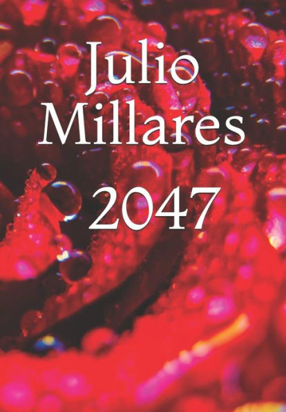 2047 (Spanish Edition)