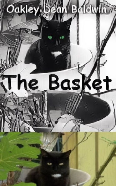 The Basket - 9781792607950
