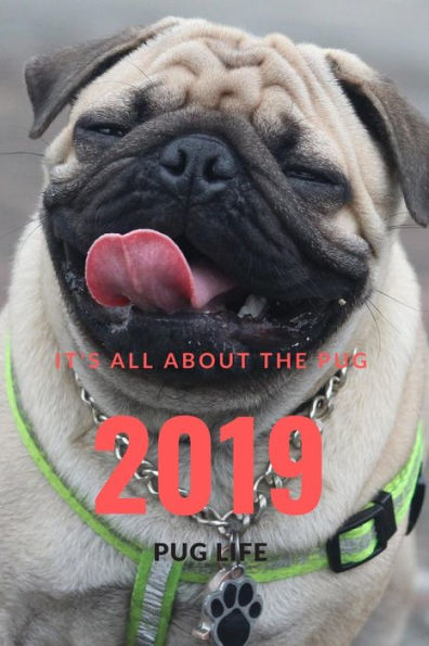 It;s all about the Pug: Pug life