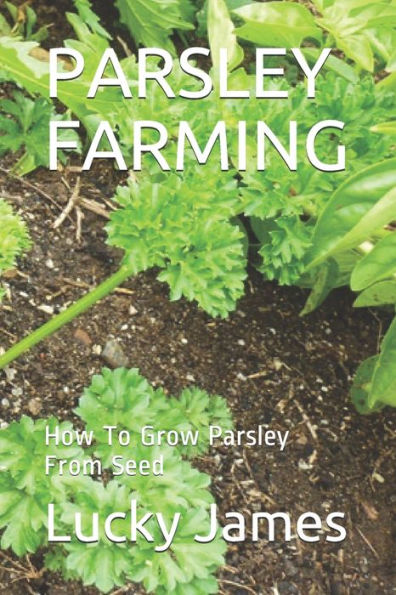 Parsley Farming : How To Grow Parsley From Seed