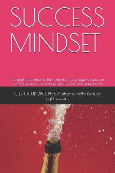 Success Mindset: The Book That Removes The Scale From Your Eyes So You Can See The Solutions To Those Problems Confronting You Now.