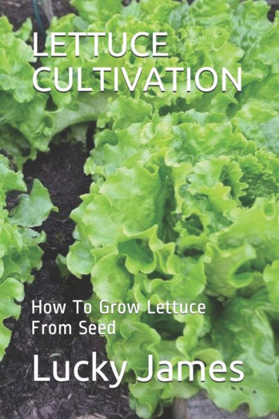 Lettuce Cultivation : How To Grow Lettuce From Seed