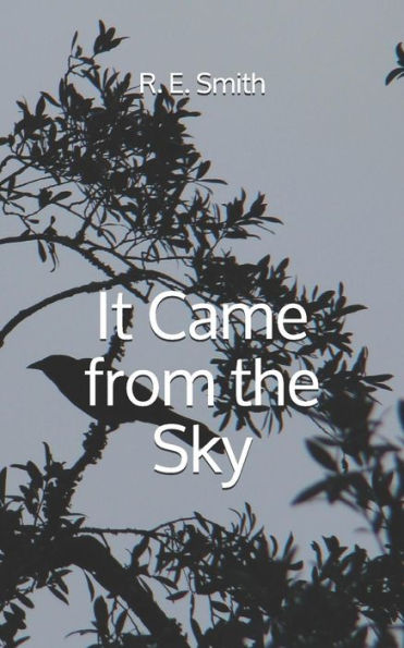 It Came from the Sky - 9781793951212