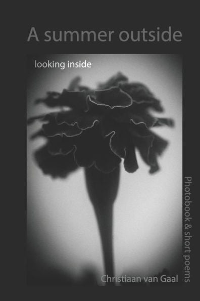 A summer outside Looking inside