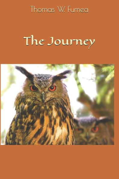 The Journey - 9781793984265