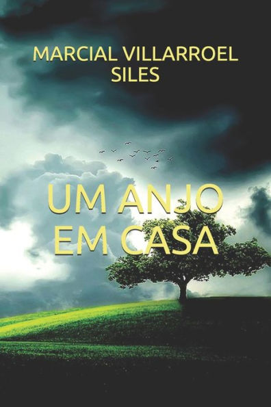 Um Anjo Em Casa