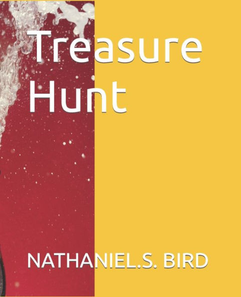 Treasure Hunt - 9781794186552