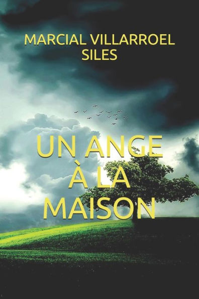 Un Ange ? La Maison