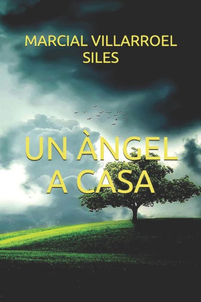 Un ?ngel A Casa