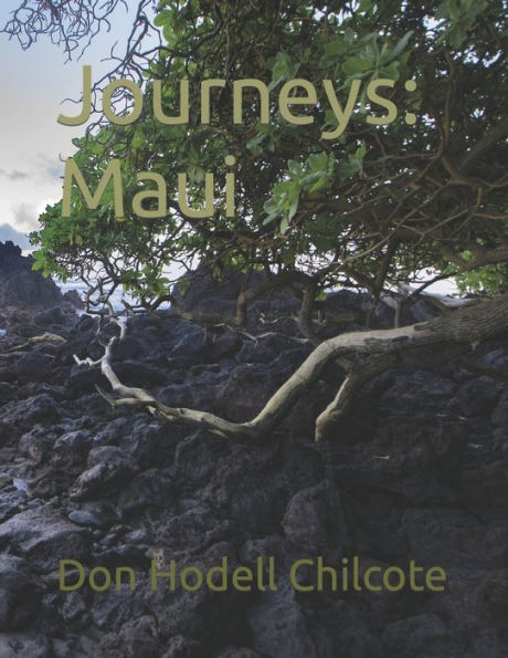 Journeys: Maui