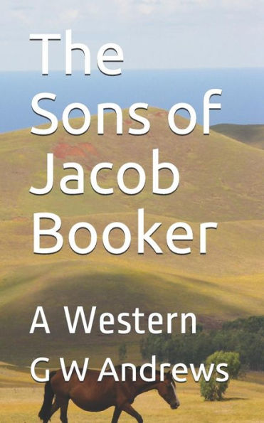The Sons Of Jacob Booker: A Western