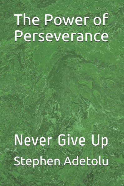 The Power Of Perseverance: Never Give Up - 9781795163231