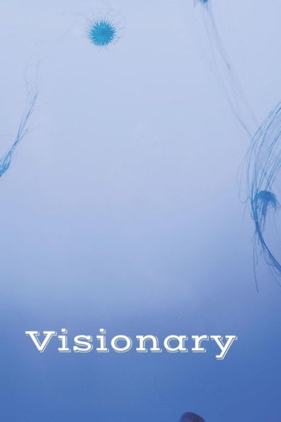 Visionary - 9781795858649