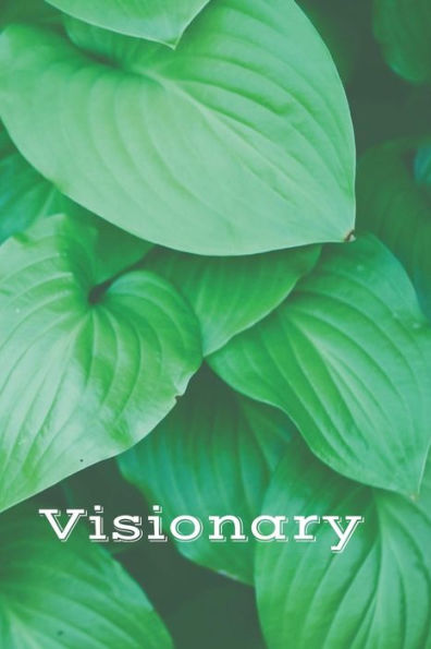 Visionary - 9781795862851