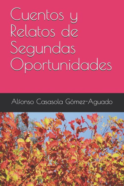 Cuentos y Relatos de Segundas Oportunidades (Edición en español)