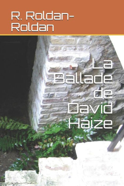 La Ballade de David Haize (French Edition)