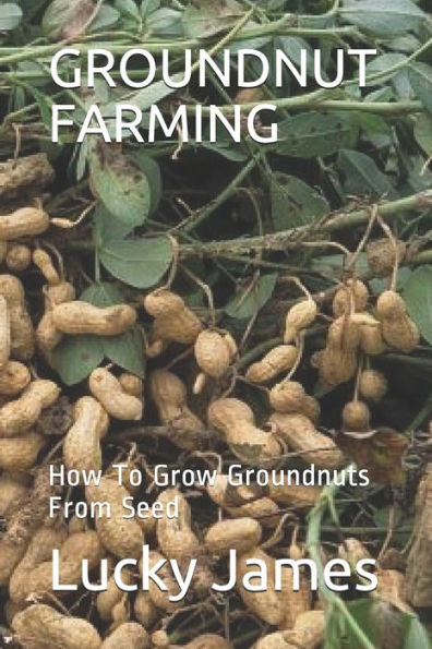 GROUNDNUT FARMING: How To Grow Groundnuts From Seed