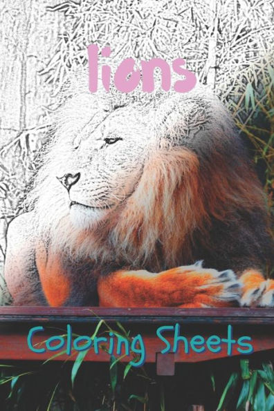 Lion Coloring Sheets: 30 Lion Drawings, Coloring Sheets Adults Relaxation, Coloring Book For Kids, For Girls - 9781797057866