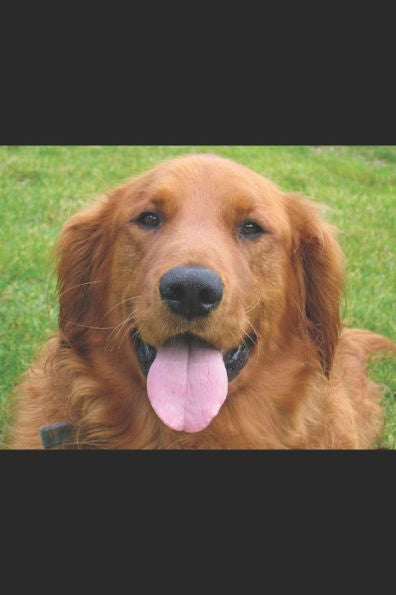 My Dog: Is My Best Friend