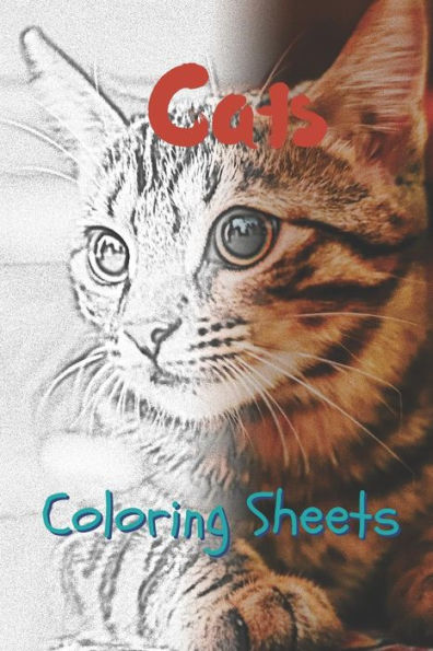Cat Coloring Sheets: 30 cat drawings,coloring sheets adults relaxation, coloring book for kids, for girls, volume 12