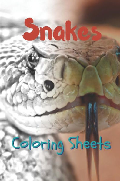 Snake Coloring Sheets: 30 Snake Drawings, Coloring Sheets Adults Relaxation, Coloring Book For Kids, For Girls - 9781797630588