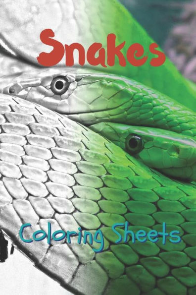 Snake Coloring Sheets: 30 Snake Drawings, Coloring Sheets Adults Relaxation, Coloring Book For Kids, For Girls - 9781797630618