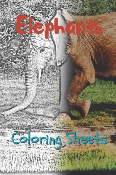 Elephant Coloring Sheets: 30 elephant drawings,coloring sheets adults relaxation, coloring book for kids, for girls, volume 2