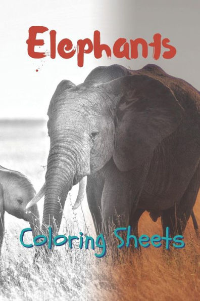 Elephant Coloring Sheets: 30 elephant drawings,coloring sheets adults relaxation, coloring book for kids, for girls, volume 3