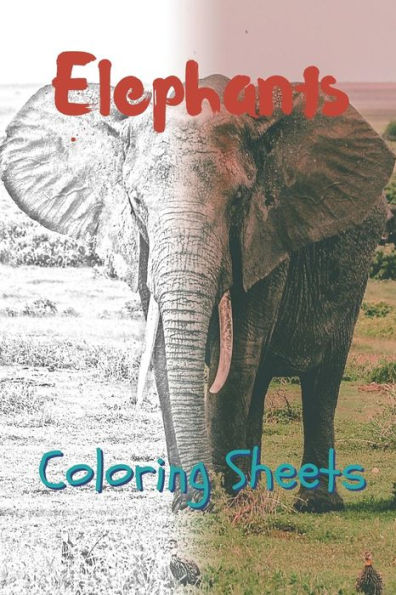 Elephant Coloring Sheets: 30 elephant drawings,coloring sheets adults relaxation, coloring book for kids, for girls, volume 12