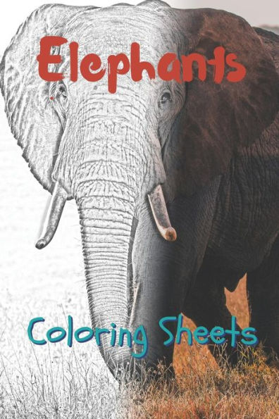 Elephant Coloring Sheets: 30 elephant drawings,coloring sheets adults relaxation, coloring book for kids, for girls, volume 13