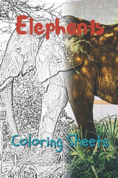 Elephant Coloring Sheets: 30 elephant drawings,coloring sheets adults relaxation, coloring book for kids, for girls, volume 14
