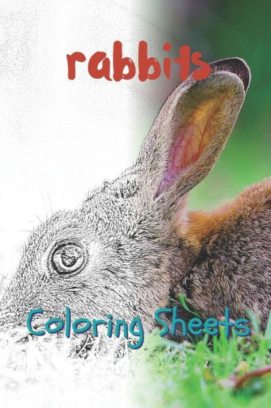 Rabbit Coloring Sheets: 30 Rabbit Drawings, Coloring Sheets Adults Relaxation, Coloring Book For Kids, For Girls - 9781797658889
