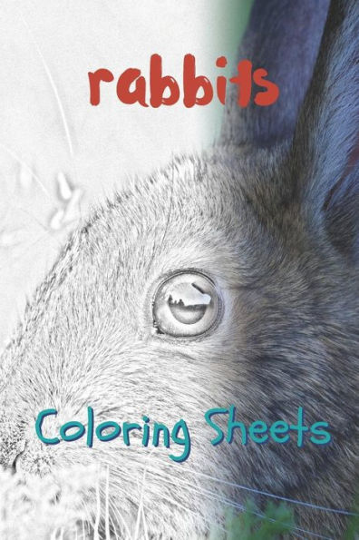 Rabbit Coloring Sheets: 30 Rabbit Drawings, Coloring Sheets Adults Relaxation, Coloring Book For Kids, For Girls - 9781797658933