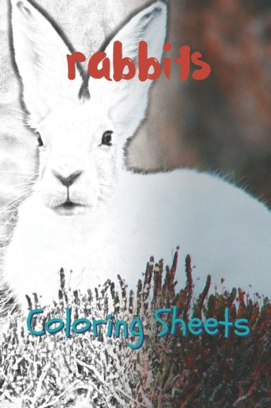 Rabbit Coloring Sheets: 30 Rabbit Drawings, Coloring Sheets Adults Relaxation, Coloring Book For Kids, For Girls - 9781797658957