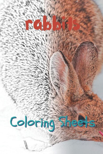 Rabbit Coloring Sheets: 30 Rabbit Drawings, Coloring Sheets Adults Relaxation, Coloring Book For Kids, For Girls - 9781797658971