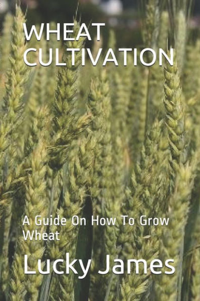 Wheat Cultivation : A Guide On How To Grow Wheat