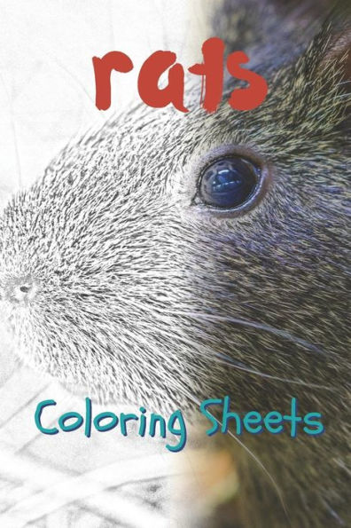 Rat Coloring Sheets: 30 Rat Drawings, Coloring Sheets Adults Relaxation, Coloring Book For Kids, For Girls - 9781797739250