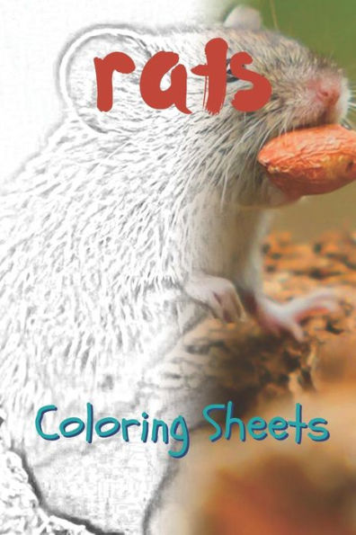 Rat Coloring Sheets: 30 Rat Drawings, Coloring Sheets Adults Relaxation, Coloring Book For Kids, For Girls - 9781797739311