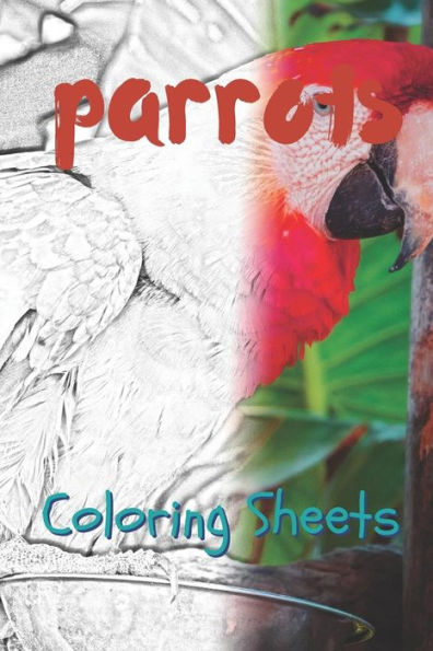 Parrot Coloring Sheets: 30 Parrot Drawings, Coloring Sheets Adults Relaxation, Coloring Book For Kids, For Girls - 9781797819211